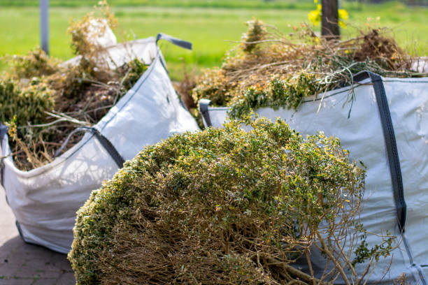 Best Electronics Removal Services  in Northport, NY